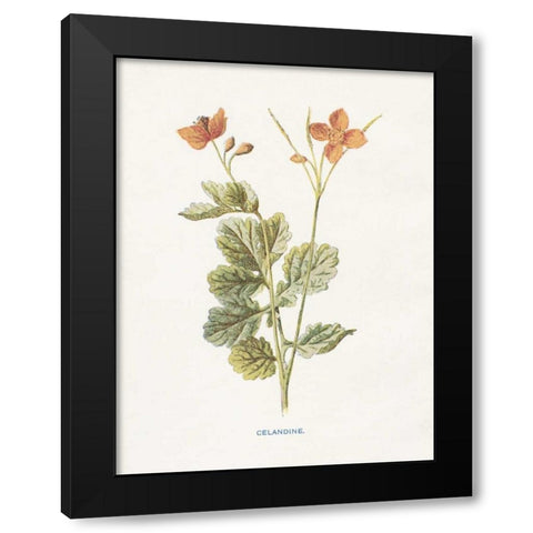 Celandine Black Modern Wood Framed Art Print with Double Matting by Babbitt, Gwendolyn