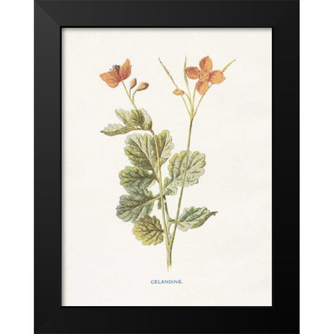 Celandine Black Modern Wood Framed Art Print by Babbitt, Gwendolyn