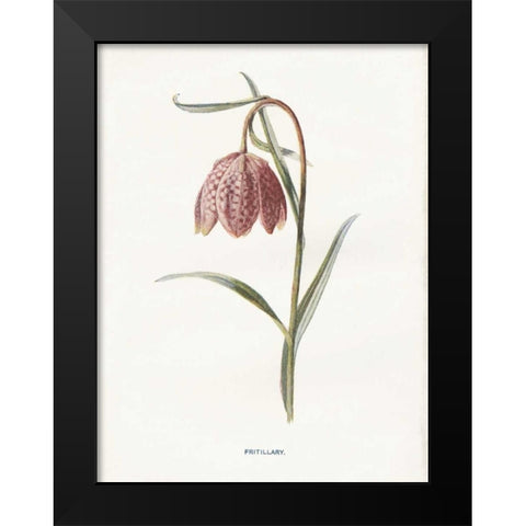Fritillary Black Modern Wood Framed Art Print by Babbitt, Gwendolyn
