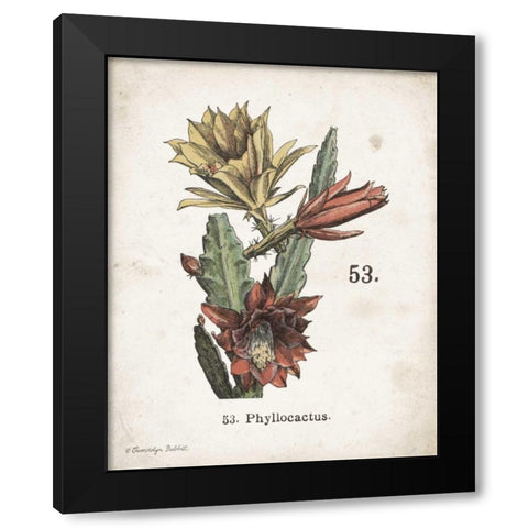 Cacti I Black Modern Wood Framed Art Print with Double Matting by Babbitt, Gwendolyn