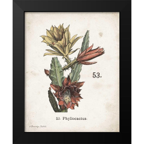 Cacti I Black Modern Wood Framed Art Print by Babbitt, Gwendolyn