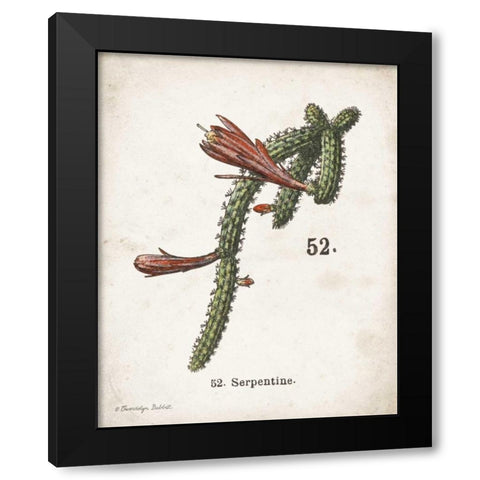 Cacti III Black Modern Wood Framed Art Print with Double Matting by Babbitt, Gwendolyn