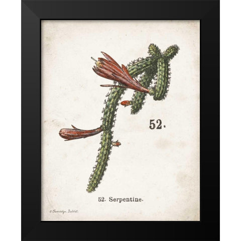 Cacti III Black Modern Wood Framed Art Print by Babbitt, Gwendolyn