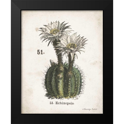 Cacti IV Black Modern Wood Framed Art Print by Babbitt, Gwendolyn