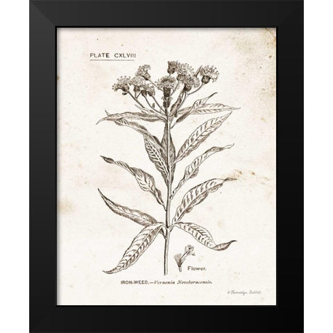 Flower Plate III Black Modern Wood Framed Art Print by Babbitt, Gwendolyn