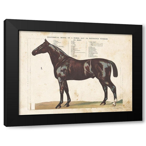 Anatomical Model Horse Black Modern Wood Framed Art Print with Double Matting by Babbitt, Gwendolyn
