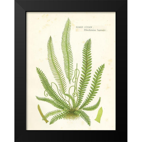 Fern I Black Modern Wood Framed Art Print by Babbitt, Gwendolyn
