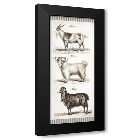 Goats Black Modern Wood Framed Art Print by Babbitt, Gwendolyn