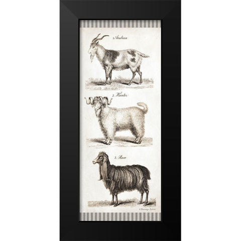 Goats Black Modern Wood Framed Art Print by Babbitt, Gwendolyn