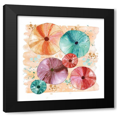 Beachcomber Sea Urchins Black Modern Wood Framed Art Print with Double Matting by Berrenson, Sara
