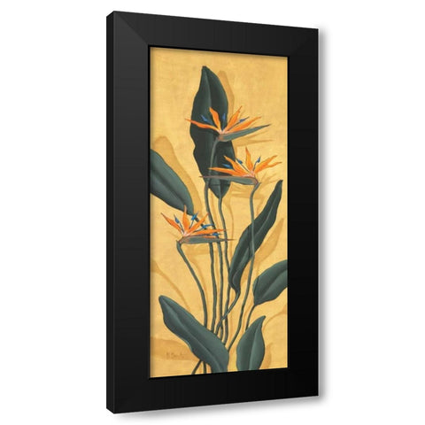 Bird of Paradise Black Modern Wood Framed Art Print with Double Matting by Brent, Paul