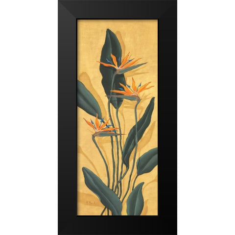 Bird of Paradise Black Modern Wood Framed Art Print by Brent, Paul