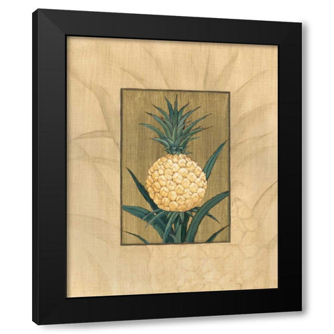 Sugar Loaf Pineapple Black Modern Wood Framed Art Print with Double Matting by Brent, Paul