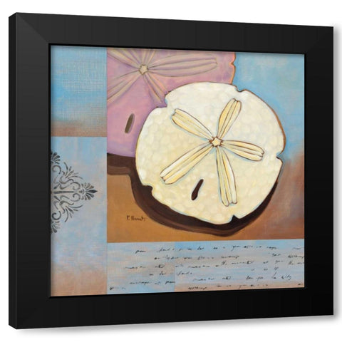 Sanibel Sand Dollar Black Modern Wood Framed Art Print with Double Matting by Brent, Paul