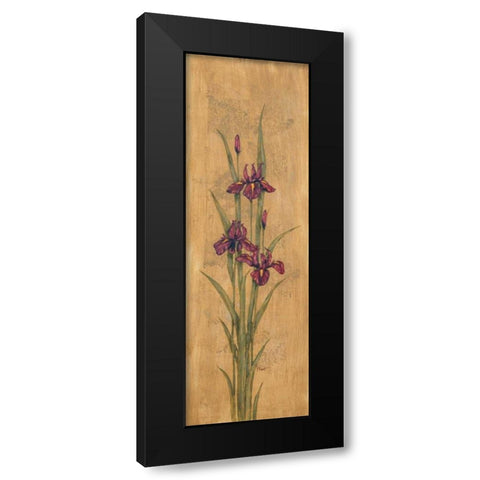Iris of Delos I Black Modern Wood Framed Art Print by Brent, Paul