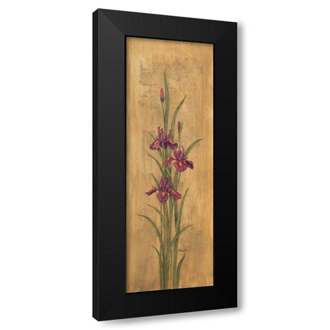 Iris of Delos II Black Modern Wood Framed Art Print with Double Matting by Brent, Paul