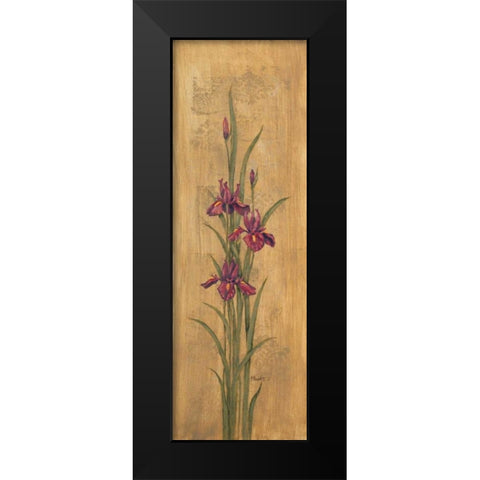 Iris of Delos II Black Modern Wood Framed Art Print by Brent, Paul
