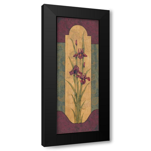 Greek Iris I Black Modern Wood Framed Art Print with Double Matting by Brent, Paul