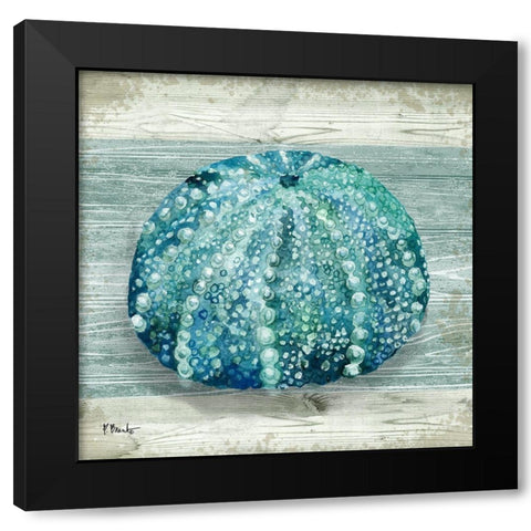 Northpoint Shells I Black Modern Wood Framed Art Print with Double Matting by Brent, Paul