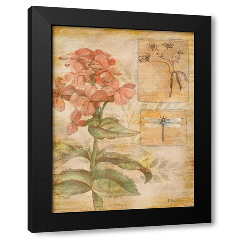 Flora Dragonfly Black Modern Wood Framed Art Print with Double Matting by Brent, Paul
