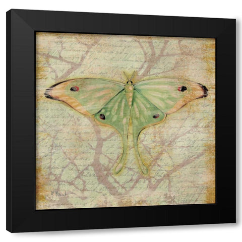 Vintage Butterflies III Black Modern Wood Framed Art Print with Double Matting by Brent, Paul