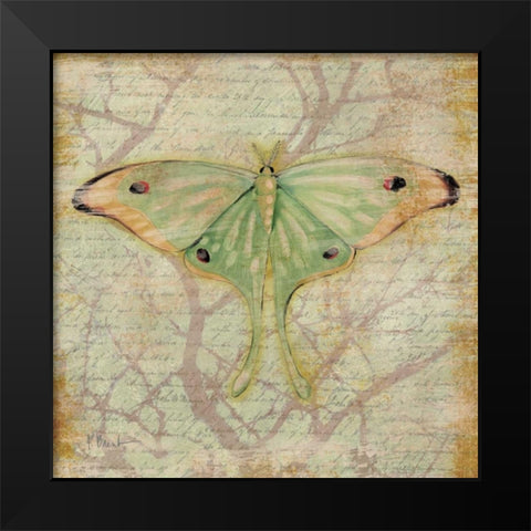 Vintage Butterflies III Black Modern Wood Framed Art Print by Brent, Paul