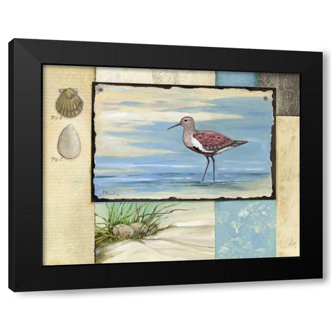 Sandpiper Collage II Black Modern Wood Framed Art Print with Double Matting by Brent, Paul