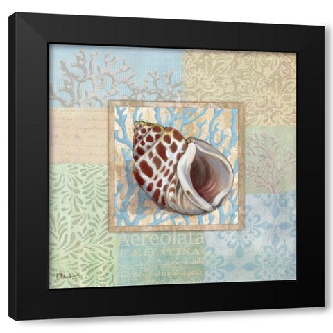 Oceanic Shell Collage I Black Modern Wood Framed Art Print with Double Matting by Brent, Paul