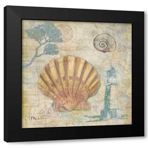 Discovery Shell II Black Modern Wood Framed Art Print with Double Matting by Brent, Paul