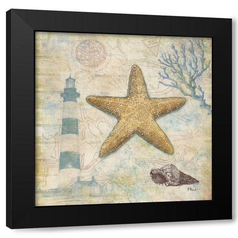 Discovery Shell III Black Modern Wood Framed Art Print with Double Matting by Brent, Paul