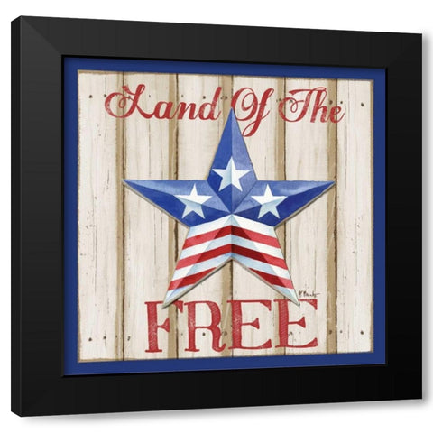 Patriotic Barn Star I Black Modern Wood Framed Art Print with Double Matting by Brent, Paul
