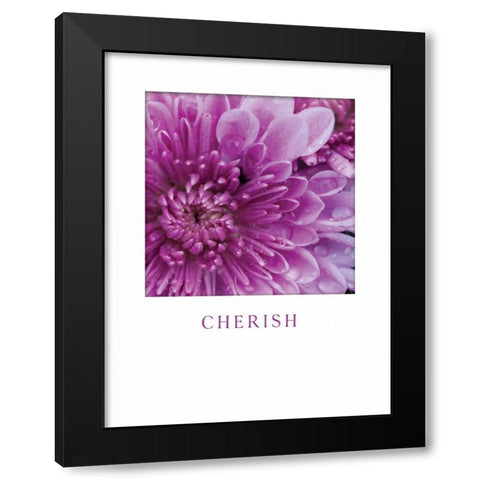 Cherish Black Modern Wood Framed Art Print with Double Matting by Berzel, Erin
