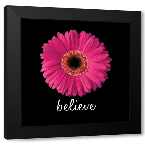 Believe Daisy Black Modern Wood Framed Art Print by Christensen, Jim