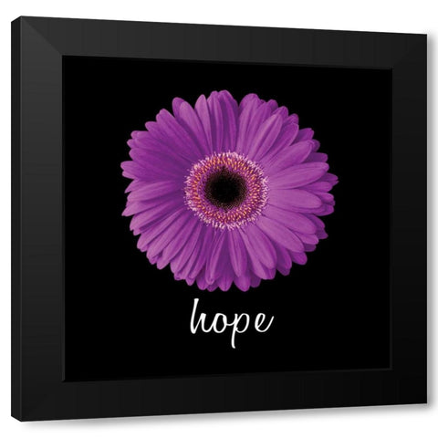 Hope Daisy Black Modern Wood Framed Art Print by Christensen, Jim