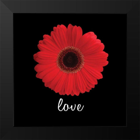 Love Daisy Black Modern Wood Framed Art Print by Christensen, Jim