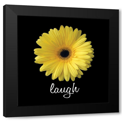 Laugh Daisy Black Modern Wood Framed Art Print with Double Matting by Christensen, Jim