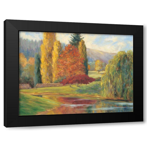Natures Splendor I Black Modern Wood Framed Art Print with Double Matting by Fermanis, Pamela
