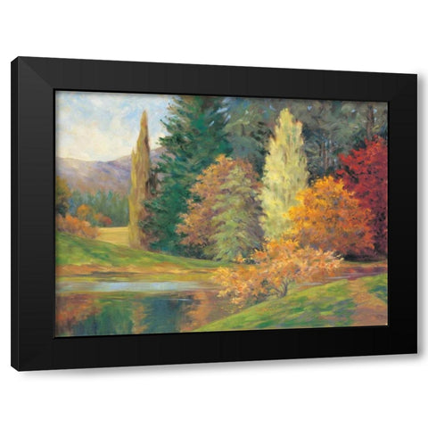 Natures Splendor II Black Modern Wood Framed Art Print with Double Matting by Fermanis, Pamela