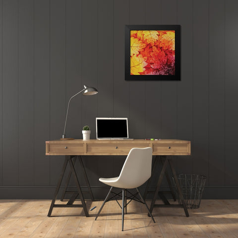 Autumn Hues I Black Modern Wood Framed Art Print by Blue Fish