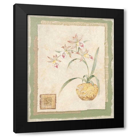Orchid II Black Modern Wood Framed Art Print with Double Matting by Gladding, Pamela