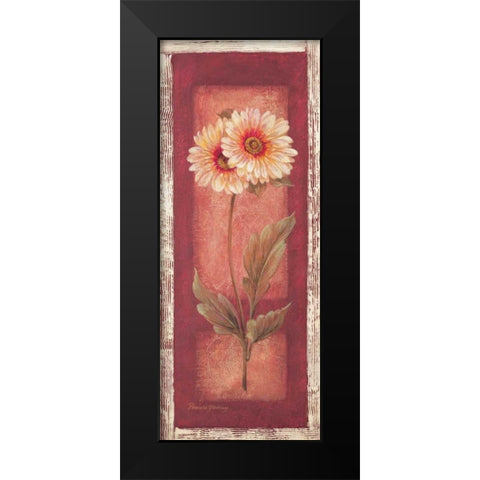 Red Door Gaillardia Black Modern Wood Framed Art Print by Gladding, Pamela