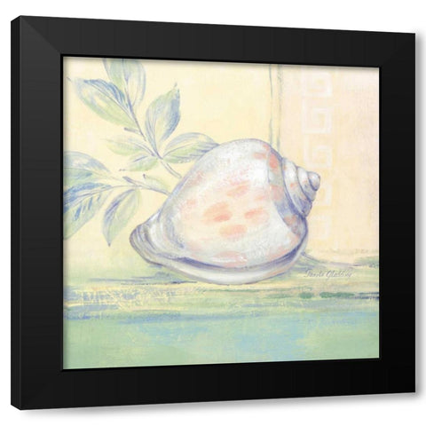 Tranquil Seashells I Black Modern Wood Framed Art Print with Double Matting by Gladding, Pamela