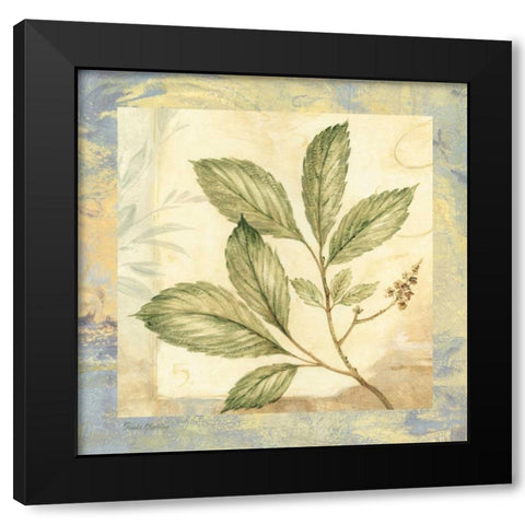 Leaf Botanicals II Black Modern Wood Framed Art Print with Double Matting by Gladding, Pamela