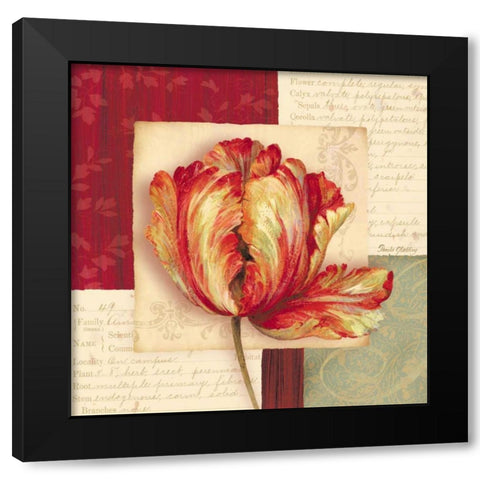 Bella Donna I Black Modern Wood Framed Art Print with Double Matting by Gladding, Pamela