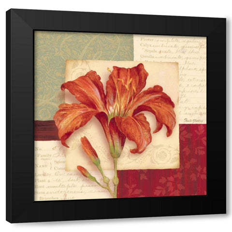 Bella Donna II Black Modern Wood Framed Art Print with Double Matting by Gladding, Pamela