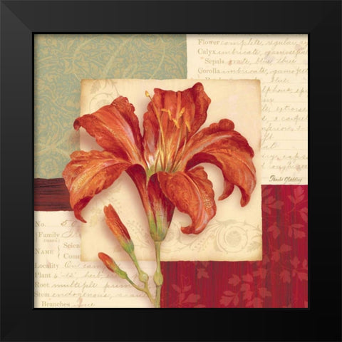 Bella Donna II Black Modern Wood Framed Art Print by Gladding, Pamela