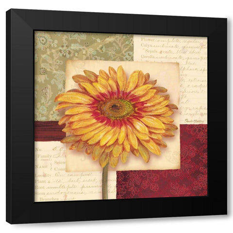 Bella Donna III Black Modern Wood Framed Art Print with Double Matting by Gladding, Pamela