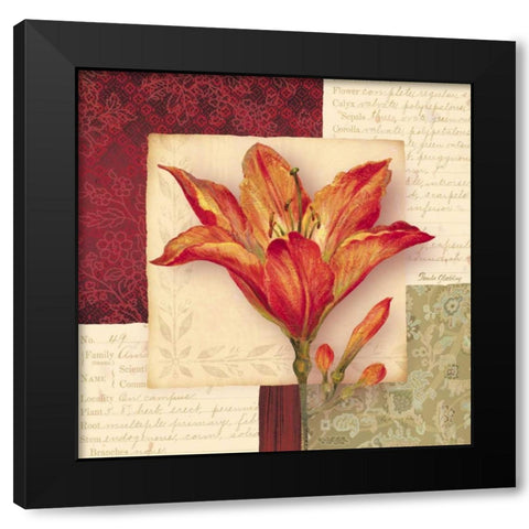 Bella Donna IV Black Modern Wood Framed Art Print with Double Matting by Gladding, Pamela