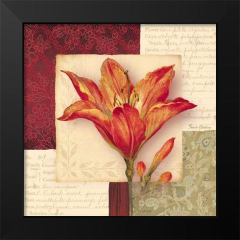 Bella Donna IV Black Modern Wood Framed Art Print by Gladding, Pamela