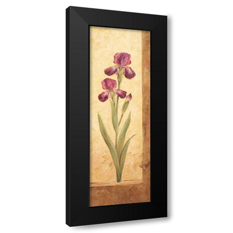 Grandiflora II Black Modern Wood Framed Art Print by Gladding, Pamela